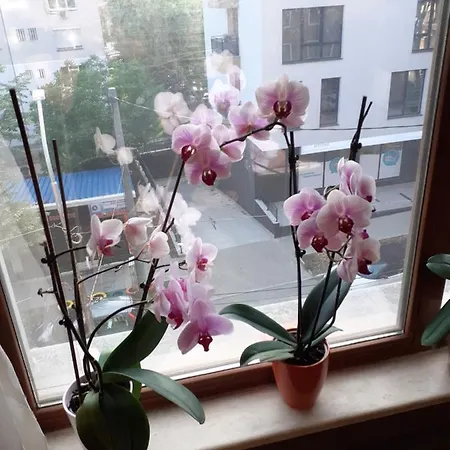 Four Seasons + Варна